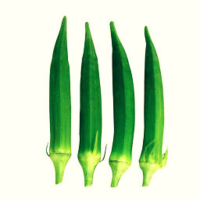 BHINDI DURGESH 800800