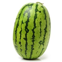 Watermelon Tamble 800800