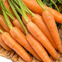 cenoura-organico-brasilia 800800